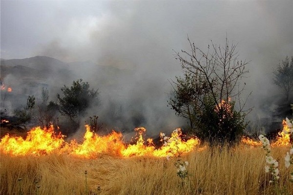 شعله‌های آتش در مزارع کشاورزی جاده ایذه-پیان