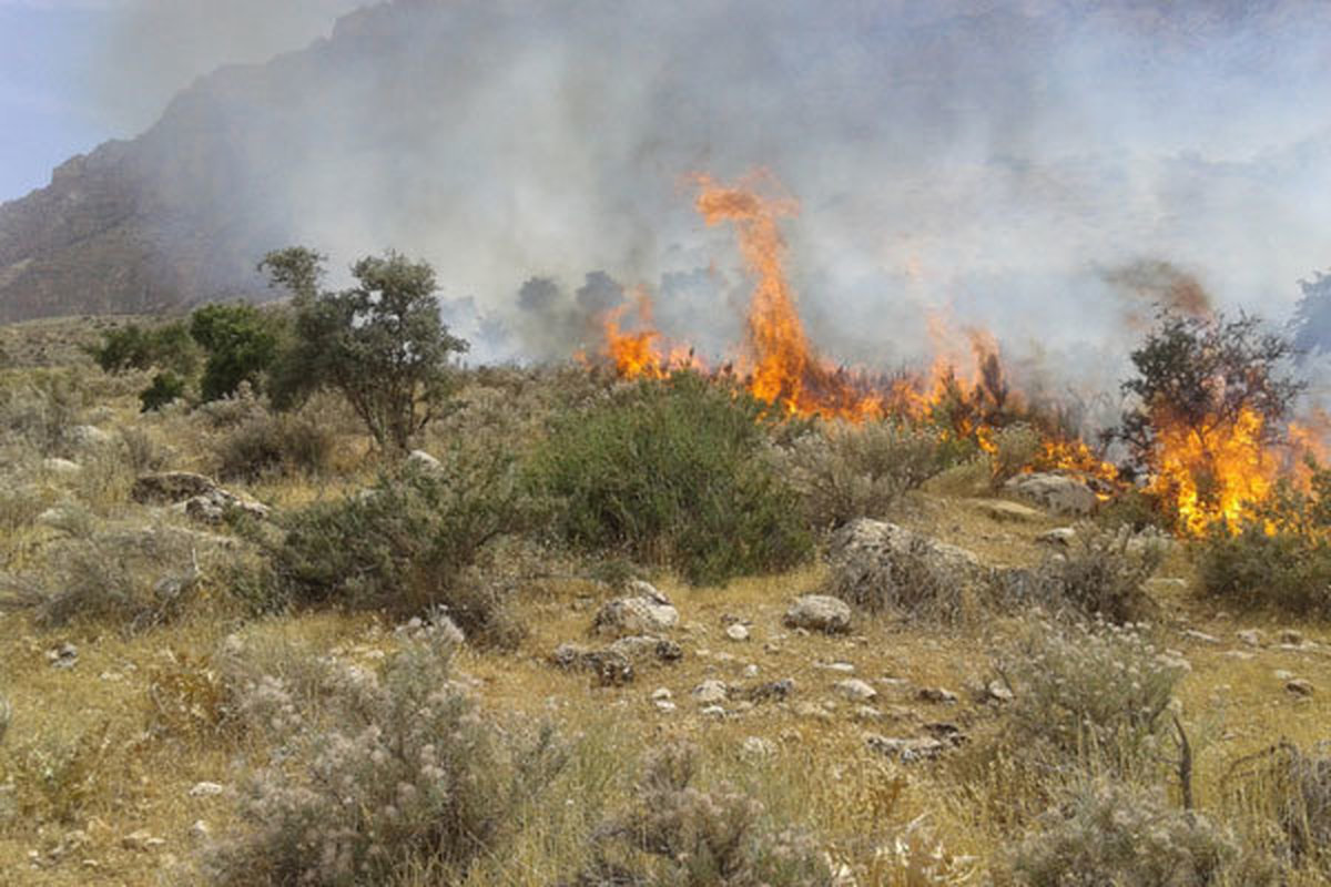 آتش سوزی جنگل‌ها و مراتع جهرم را تهدید می‌کند