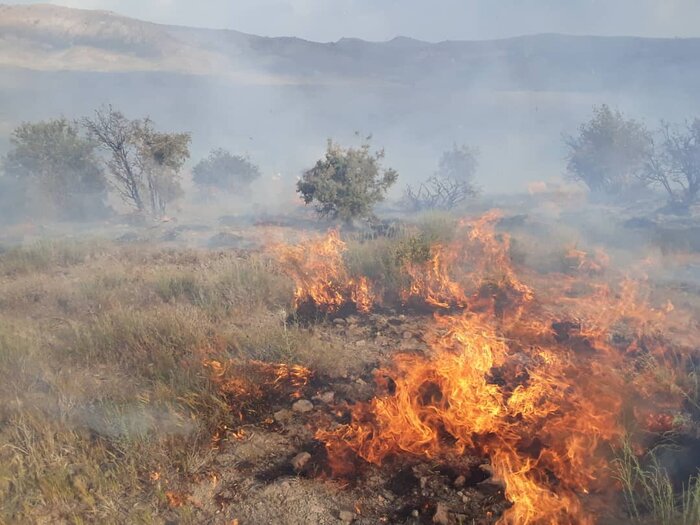 مهار آتش سوزی در بیشه حمیدآباد دزفول