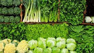 صادرات سبزی و صیفی جات از خوزستان به اوراسیا 