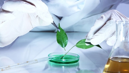 افزایش کیفیت پژوهش‌های گیاهان دارویی با تجهیزات آزمایشگاهی ایران‌ساخت؛
