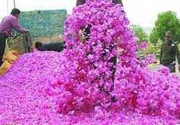 عطر جشنواره گل و گلاب در خمین