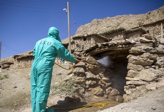 سمپاشی رایگان دام و اماکن دامی روستای گناوه لری