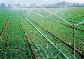 ضرورت تامین آب مورد نیاز بیش از ۱۳هزار هکتار اراضی کشاورزی پیرانشهر