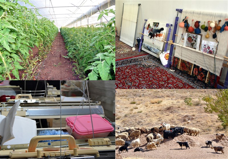 توسعه کشاورزی شهرستان سامان با تسهیلات بنیاد برکت