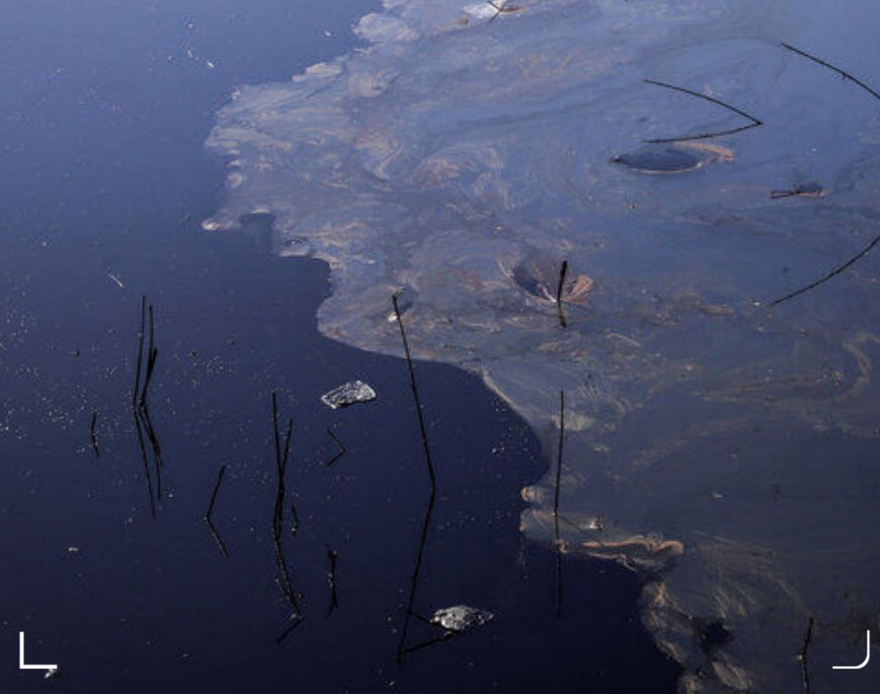 عامل ایجاد کف در رودخانه زاینده رود فلاورجان در دست بررسی