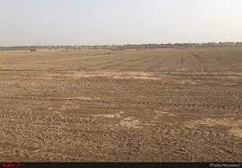 احیای زمینهای بایر در پیرانشهر
