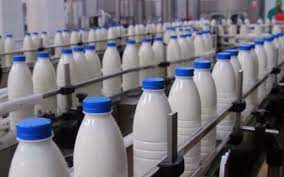 تولید بیش از ۱۱۳ هزار تن شیر در کهگیلویه وبویراحمد