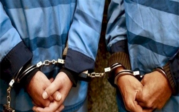دستگیری ۱۲ سارق در اجرای طرح ضربتی پلیس بافق
