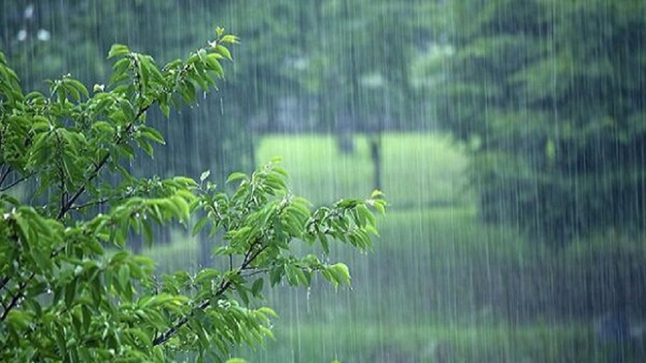 بارش باران در کردستان