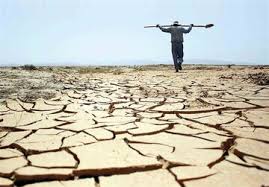 خطر خشکسالی در کمین هزاران هکتار از اراضی کشاورزی