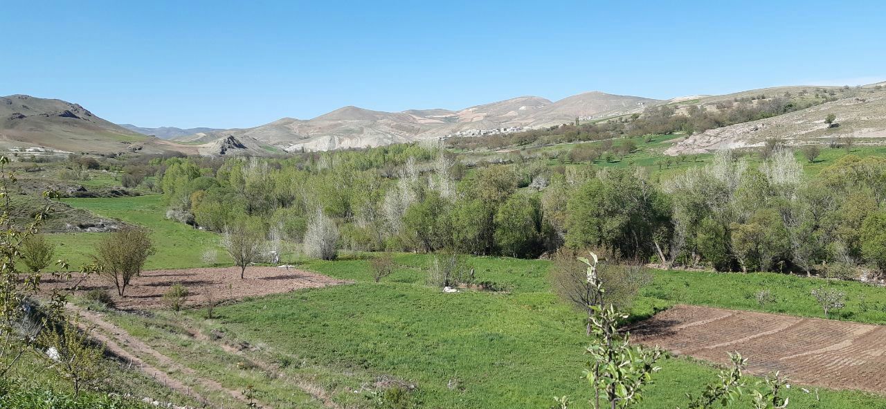 هوای گرم و آفتابی تا پایان هفته در زنجان