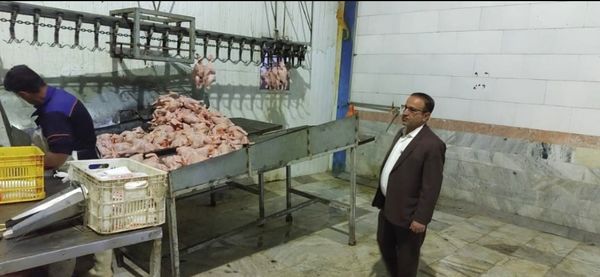 تشریح بسته تشویقی تولیدکنندگان مرغ گوشتی