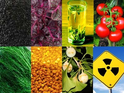 بهره وری بهتر محصولات کشاورزی با انرژی هسته‌ای