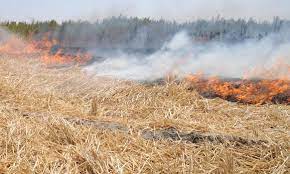 برخورد قضایی با عوامل آتش زدن مزارع در خوزستان