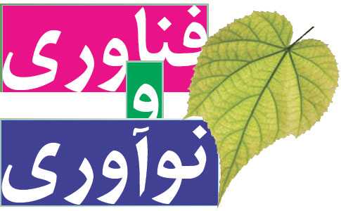 مشارکت دانشگاه‌های یزد در برنامه ریزی فناوری و نوآوری