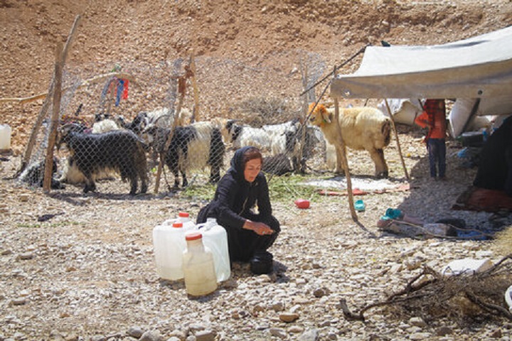 نقش عشایر در خودکفایی با تامین ۲۸ درصد گوشت استان اصفهان