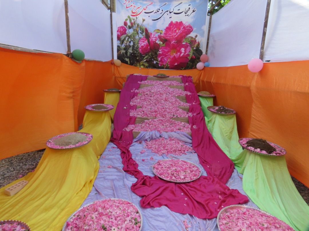 برگزاری جشنواره گل و گلاب در منشاد
