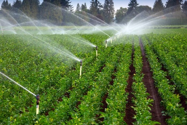 دولت حامی کشاورزان استفاده کننده از روش‌های نوین آبیاری