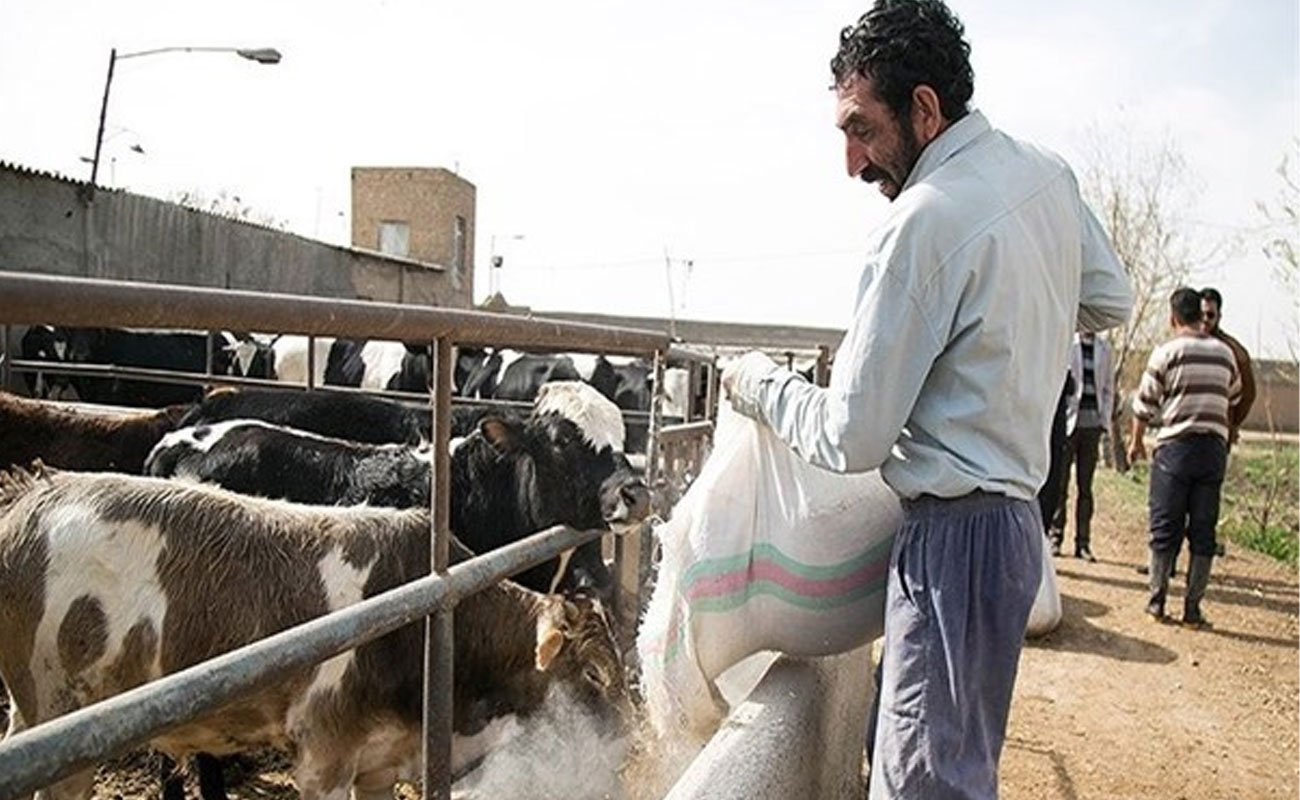 صدور دامدار کارت در حمایت از تامین نهاده‌های دامی