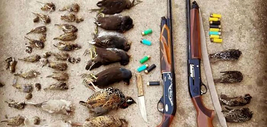 تشکیل ۷۹ پرونده قضایی برای شکارچیان  متخلف در استان همدان