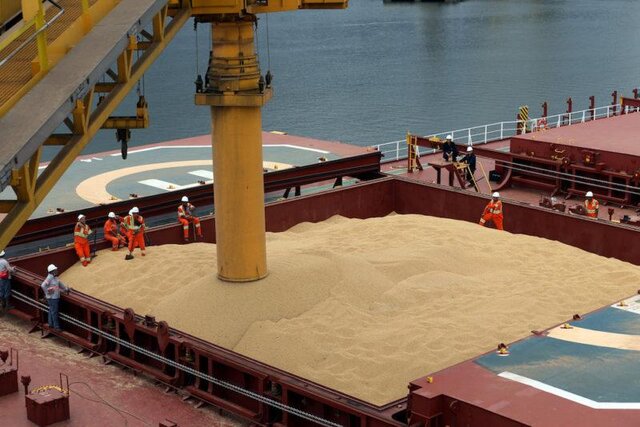 ارسال ۶۰۰ هزار تن گندم وارداتی از خوزستان به کشور