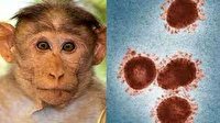 مشاهده اولین مورد ابتلا به آبله میمونی در ارتش آمریکا