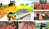 تولید سالانه ۲۱۳ هزار تن پوره و کسانتره در آذربایجان غربی