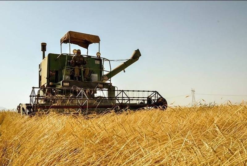 ۸۲۰ کمباین در زنجان ؛ آماده برای برداشت گندم