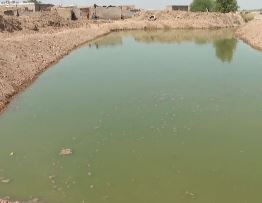 ساخت ۱۰۱ استخر برای آب تنی گاومیش در خوزستان