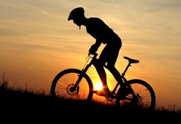 رایزنی صالحی امیری با رئیس اتحادیه جهانی دوچرخه‌سواری