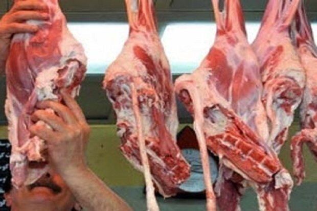 پلمب مراکز عرضه غیرمجاز گوشت قرمز در شادگان