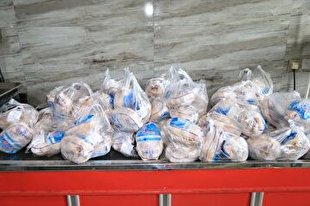 خرید تضمینی مرغ منجمد تا ثبات قیمت در استان