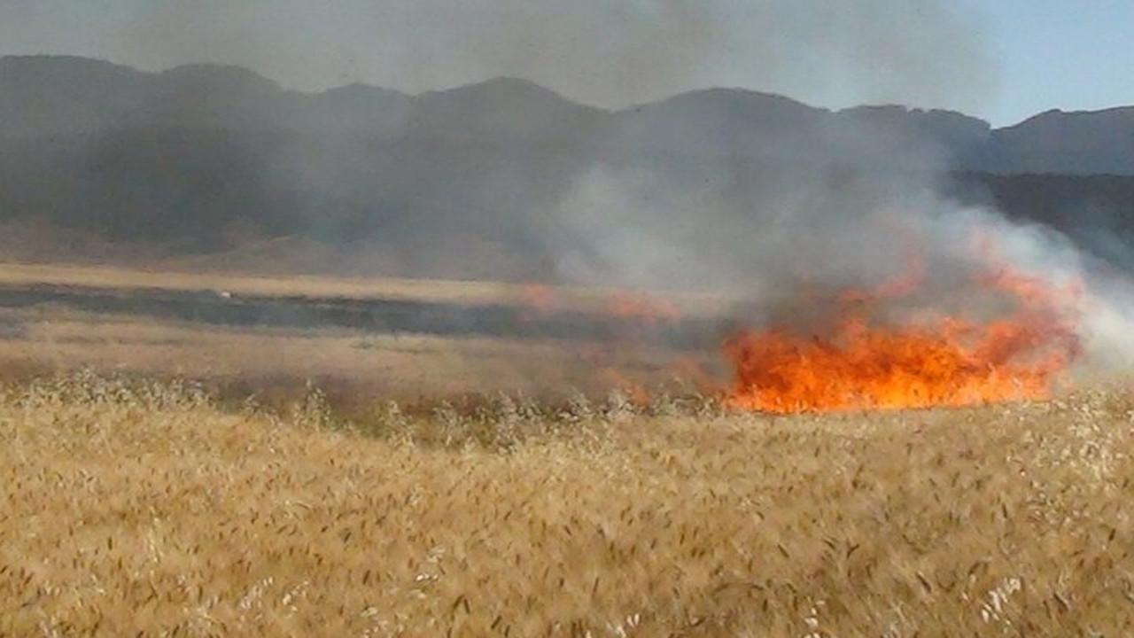 هشدارمحیط زیست خراسان شمالی نسبت به وقوع آتش سوزی در مراتع