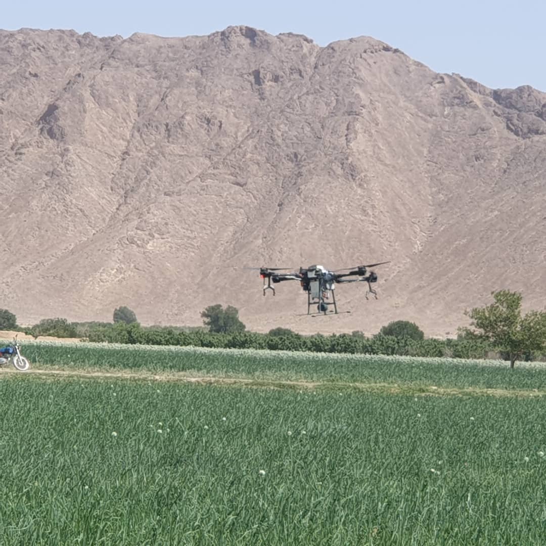 سمپاشی با پهباد برای اولین بار در آباده