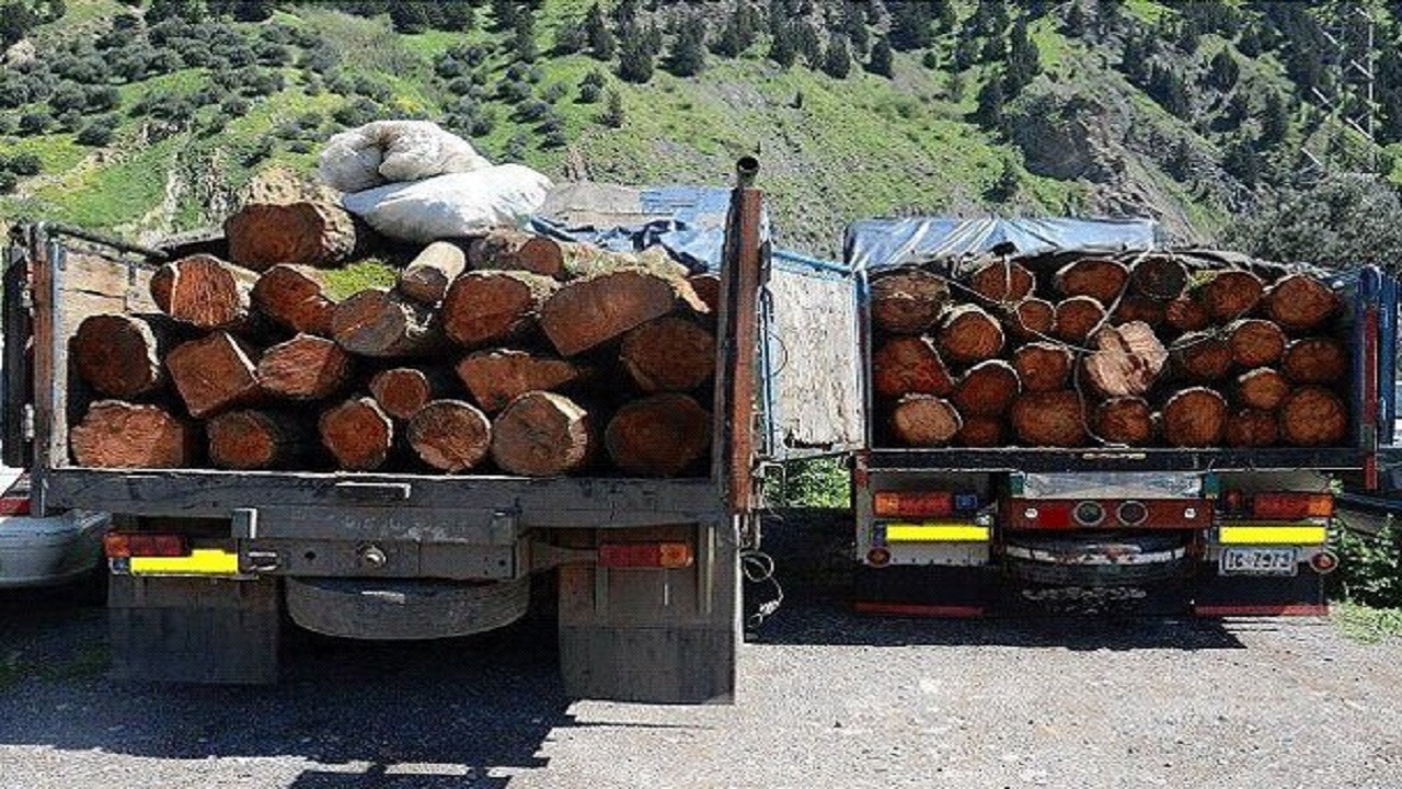 کشف ۳۶ تن چوب بلوط قاچاق در استان اصفهان