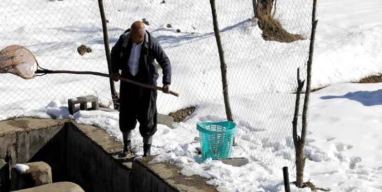 بنیاد برکت حامی کولبران و سوخت‌بران ۷ استان کشور