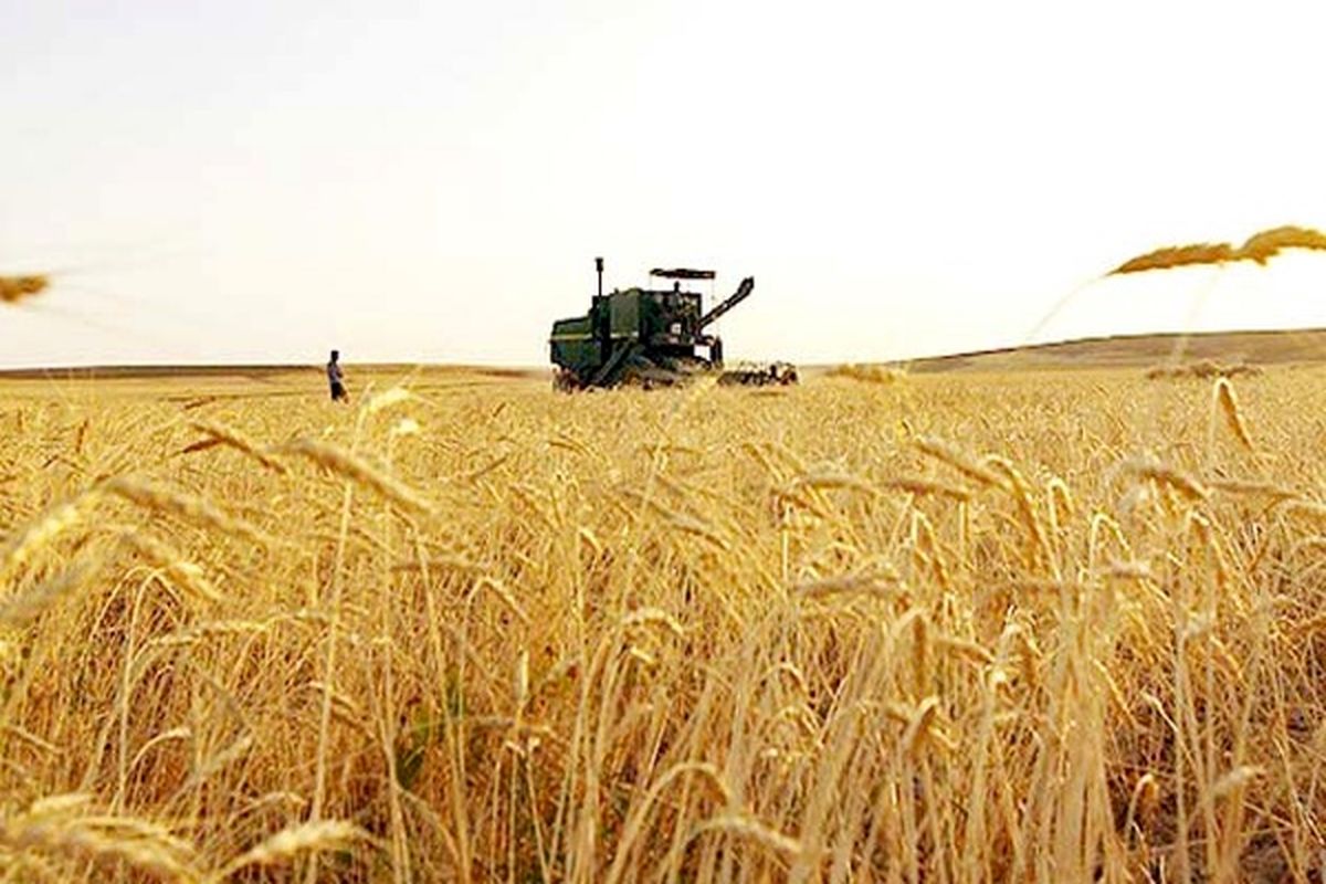 پرداخت ۹۷ درصد از مطالبات کشاورزان خوزستانی