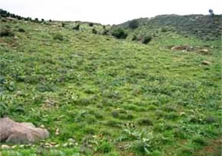 روستای عشق آباد پلدشت؛ روستای هدف گردشگری