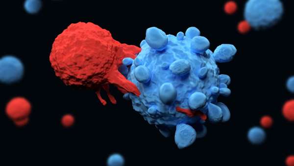 ساخت گیرنده آنتی ژن کایمریک آلوژنیک سلول T برای T-ALL مقاوم با استفاده از ویرایش تک جفت باز