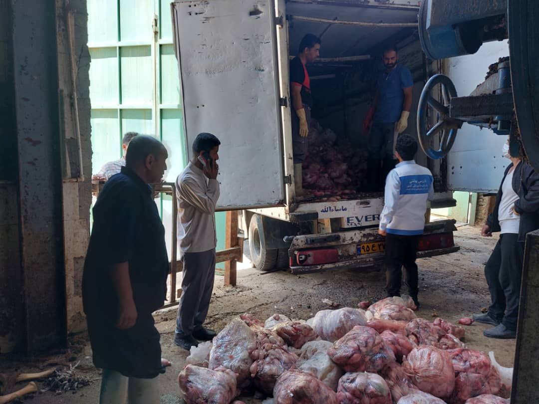 امحاء حدود ۳ هزار کیلوگرم اجزا حرام استحصالی کشتارگاه در شهرستان طرقبه شاندیز