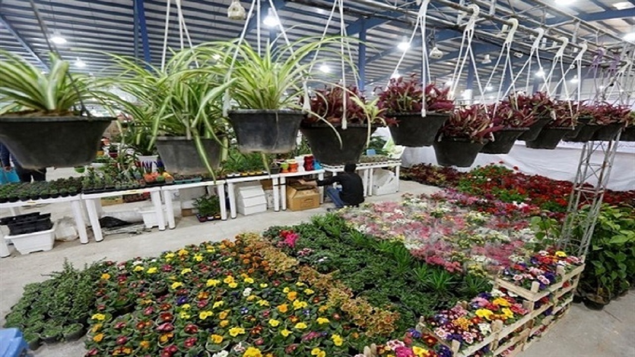 نمایشگاه گل و گیاه، تجهیزات باغبانی در قزوین برپا می‌شود