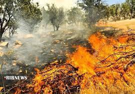 ایجاد۱۰۰ هکتار آتش بُر در مراتع استان همدان