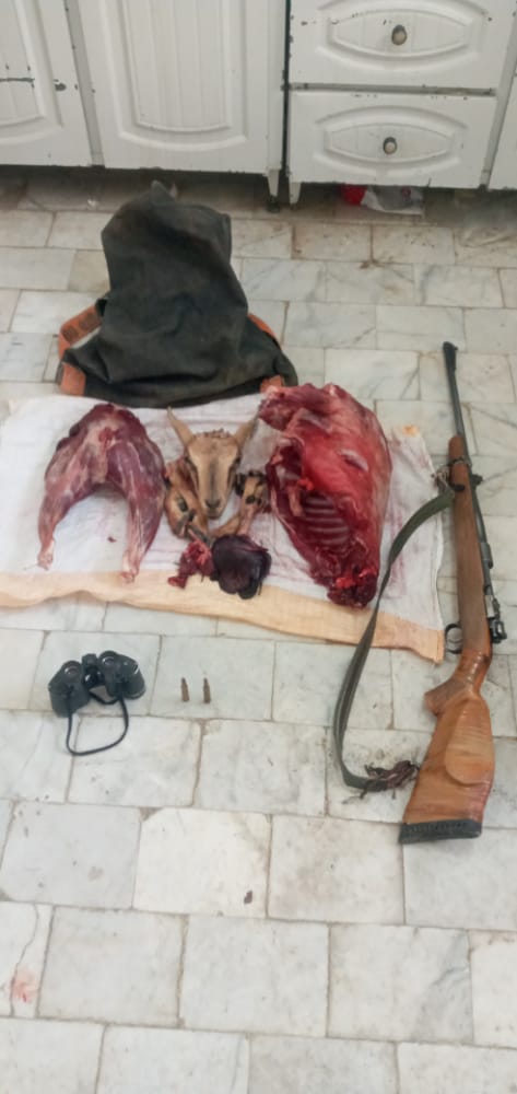 دستگیری شکارچی یک رأس کل وحشی در بهاباد