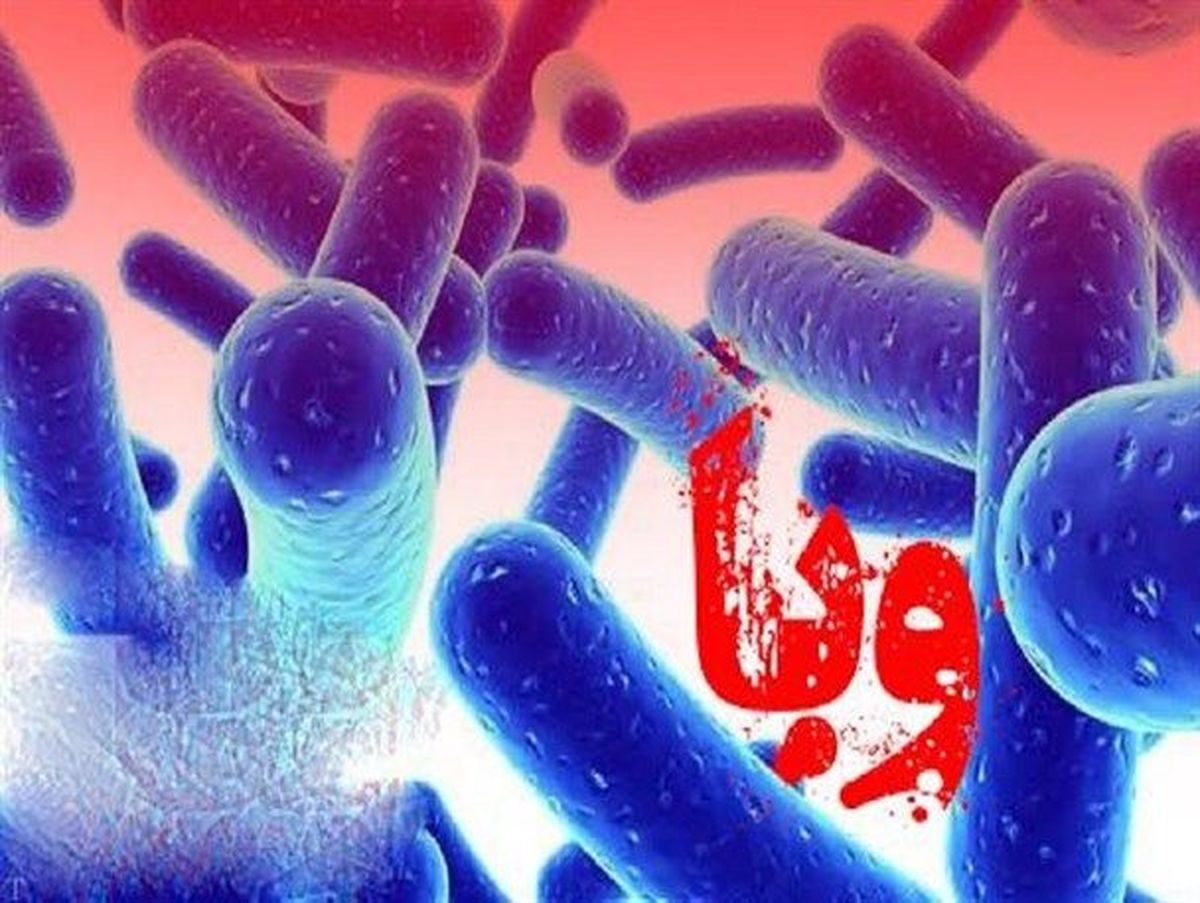 سیر صعودی ابتلای به بیماری وبا در مریوان