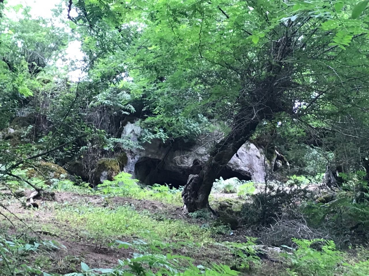 ثبت ملی «غار عزیز جنگل» در فومن