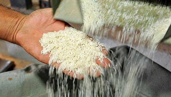 واردات یک‌میلیون تن برنج خارجی در ۴ ماه نخست امسال