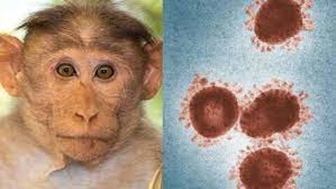 شناخت راه های پیشگیری از ابتلا به آبله میمونی