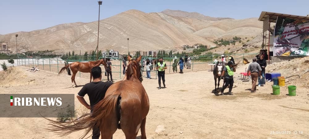 برگزاری مسابقه سوار کاری در شهرستان دماوند