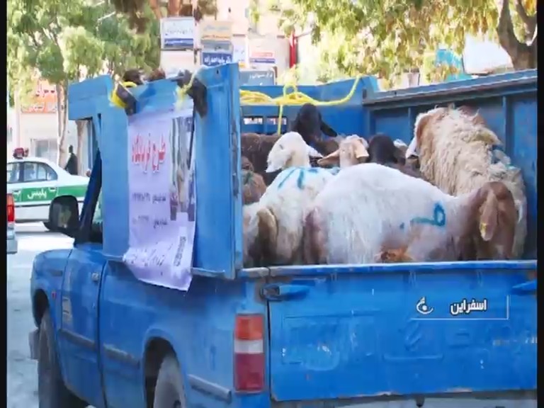 هدیه هزار و ۴۳ راس دام سبک به قربانگا‌ها از سوی خیران خراسان شمالی